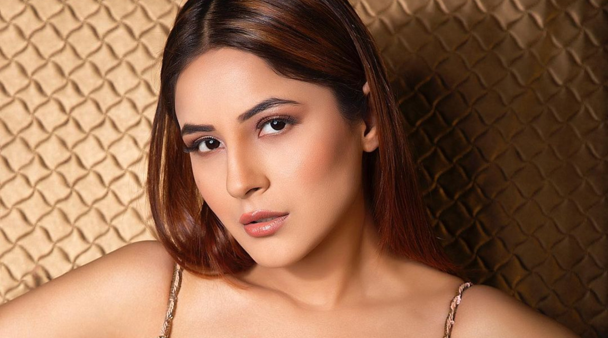 Shehnaaz Gill Picture: Punjabi singer Shehnaaz Gill, who is winning hearts with new avatar, has been in headlines even after Bigg Boss 13. 