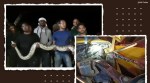 Odisha, snake, snake jcb, snake viral post, python, python rescue, trending, indian express, indian express news