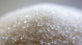 sugar output, sugar production, indian sugar mills association