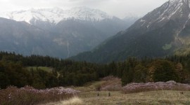 Nanda Devi glacier, Uttrakhand Floods, Climate Change, glacier collapse at Joshimath, Dhauli Ganga river, India climate study, China climate study, Nepal climate study, Bhutan climate study, india news, uttarakhand glacier, uttarakhand glacier burst, uttarakhand glacier burst news, uttarakhand chamoli glacier, uttarakhand chamoli glacier flood, uttarakhand chamoli glacier news, uttarakhand chamoli glacier latest news, nanda Devi, nanda devi glacier, nanda devi glacier break, nanda devi glacier today news, nanda devi flash floods, Uttarakhand floods, Uttarakhand flash floods, Uttarakhand glacier, Nanda Devi news