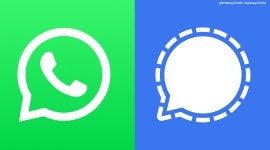 whatsapp, signal, Valentine's Day stickers, Valentine's Day 2021, Valentine's Day, Valentine's Day whatsapp stickers, Valentine's Day signal stickers, Valentine's Day wishes