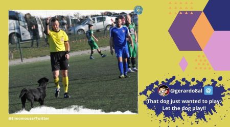 Dog sent off by referee, Dog invades football pitch, Dog gets red card, Dog interrupt football match Serbia, football, Serbia, Trending news, Indian Express news