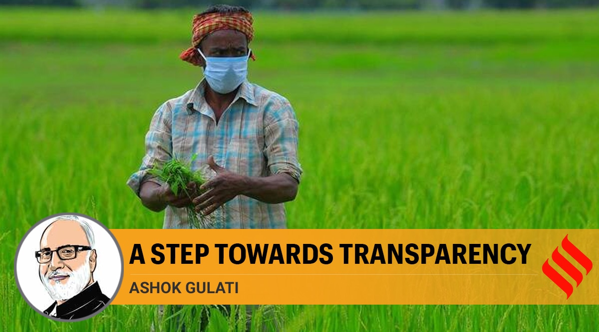 Ashok Gulati writes In agriculture, R&D needs attention, subsidy bias