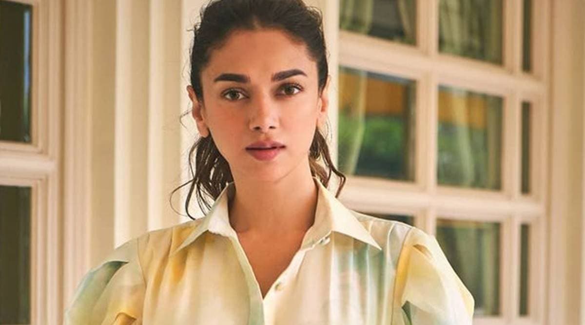 Aditi Rao Hydari On Why She Shifted Focus To South Cinema Was Grabbing