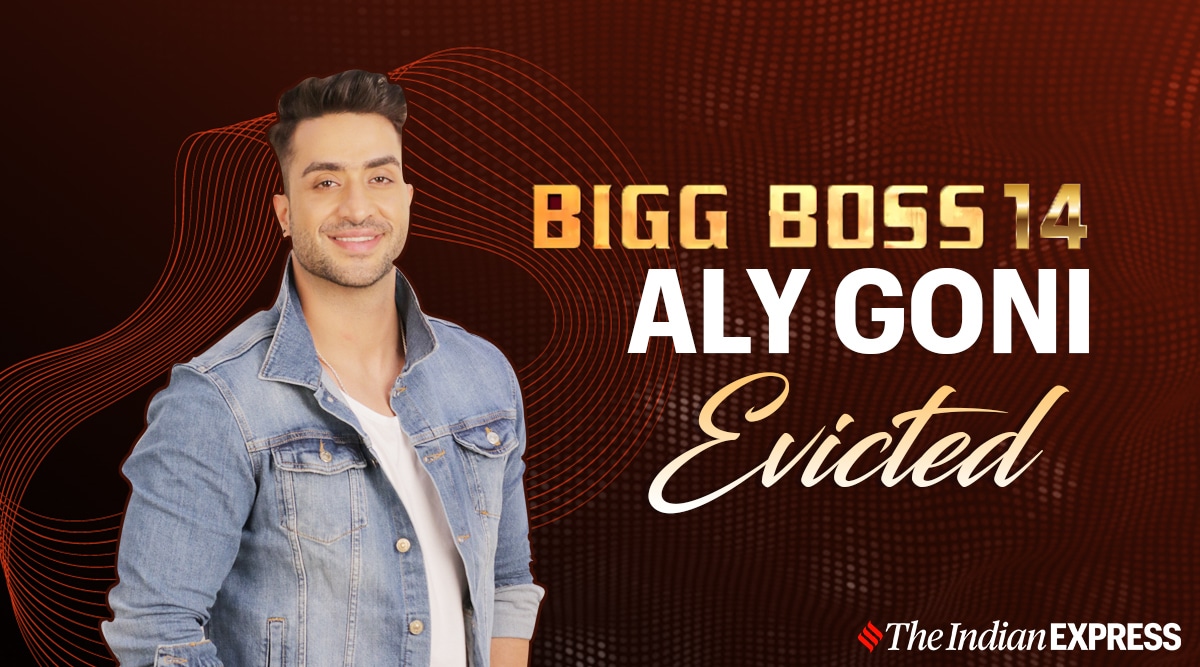 Bigg Boss 14 Finale Eviction Today: Aly Goni gets eliminated