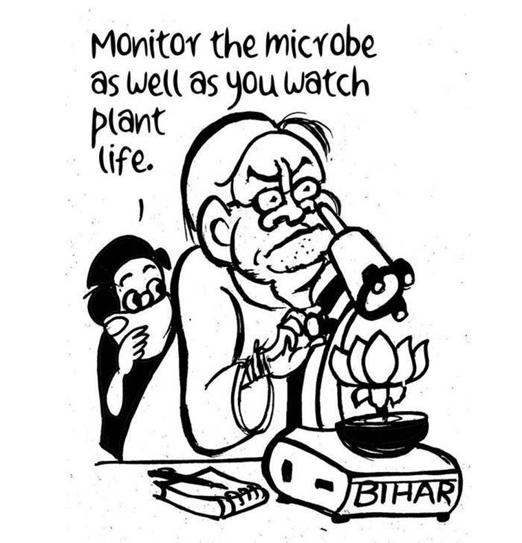 Bihar Covid testing data, Bihar PHC, Primary Health Centres, Bihar coronavirus cases, Bihar covid testing investigation, Express investigation, Patna news, Bihar news, Indian express news