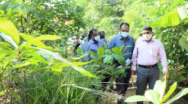Greater Chennai Corporation, urban forest, Miyawaki forest, Kottupuram, Chennai plantation drive, chennai green belt, chennai news