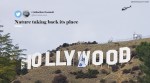 Los Angeles, Hollywood sign, Hollyboob, Hollywood sign vandalised, Hollywood sign altered, Hollywood sign prank, trending news, Indian Express news.