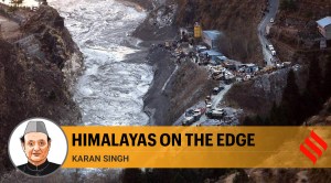 A green cover in the adjacent valleys of the glaciers is essential