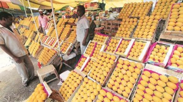 karnataka mangoes, karnataka mangoes sale, karnataka mangoes export, govt website to buy mangoes bangalore, karnataka covid news, bengaluru covid news, indian express
