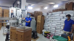 More policy support is needed to help MSMEs navigate the economic distress