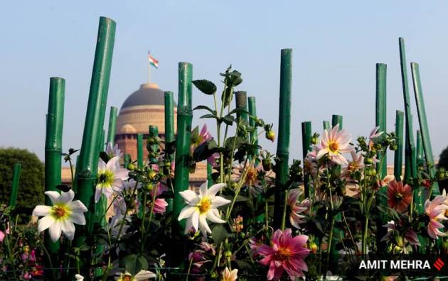 Express Wanderlust, Mughal Gardens, Mughal Gardens pictures, about Mughal Gardens, Mughal Gardens Delhi, visiting Mughal Gardens, Mughal Gardens photographs, Mughal Gardens history, Mughal Gardens location, where is Mughal Gardens, what is Mughal Gardens, Indian Express news