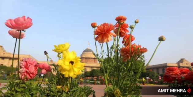 Express Wanderlust, Mughal Gardens, Mughal Gardens pictures, about Mughal Gardens, Mughal Gardens Delhi, visiting Mughal Gardens, Mughal Gardens photographs, Mughal Gardens history, Mughal Gardens location, where is Mughal Gardens, what is Mughal Gardens, Indian Express news