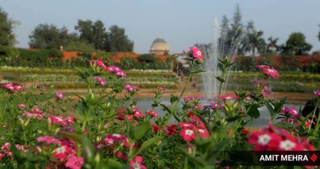 Express Wanderlust, Mughal Gardens, Mughal Gardens pictures, about Mughal Gardens, Mughal Gardens Delhi, visiting Mughal Gardens, Mughal Gardens photographs, Mughal Gardens history, Mughal Gardens location, where is Mughal Gardens, what is Mughal Gardens, Indian Express news