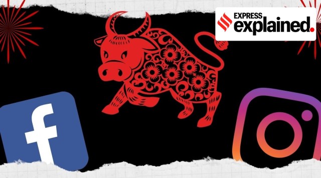 Every year in February, Chinese New Year, also known as the Spring Festival or Lunar New Year is celebrated around the world.