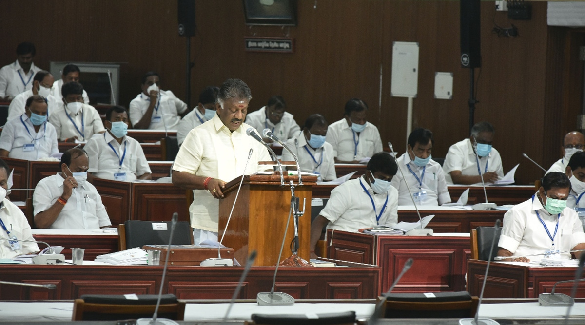 O Panneerselvam, Tamil Nadu Deputy Chief Minister, Tamil nadu interim budget
