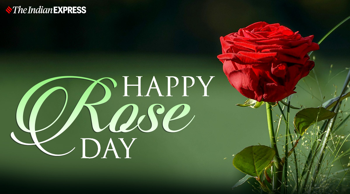 Happy Rose Day 2022: Wishes, images and quotes to send to your beloved -  Hindustan Times