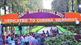 Chandigarh, rose festival