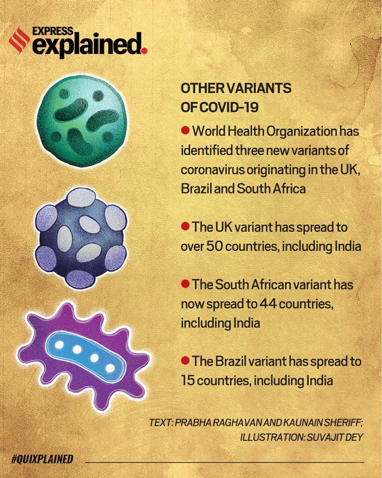 What Is South African Variant Of Covid 19