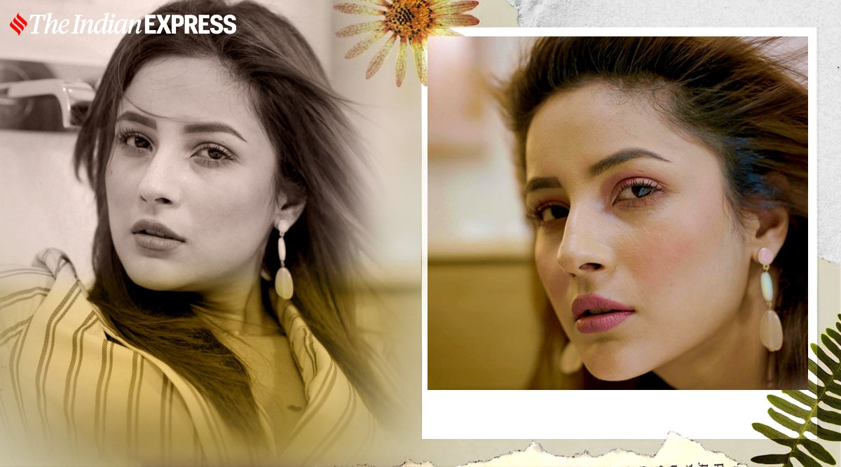 Would you like to recreate this look? (Photo: Shehnaaz Gill/ Instagram, designed by Gargi Singh)