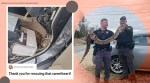Boa constrictor, boa constrictor inside car dashboard, boa constrictor rescue, boa constrictor rescued from car dashboard, North Carolina, Trending news, Indian Express news.