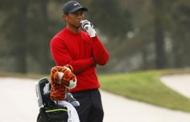 Tiger Woods, Tiger Woods car crash, Tiger Woods accident, Tiger Woods injured, Tiger Woods car damaged, Golfer Tiger Woods, Pics of Tiger Woods