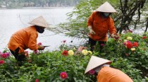 Two steps forward, one step back for Vietnam's labor rights