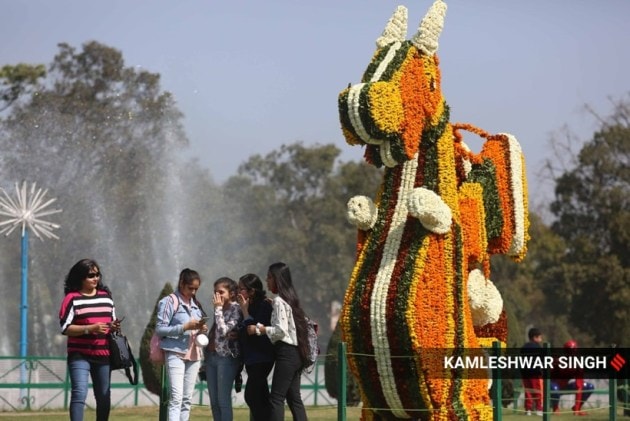 rose festival, 49 rose festival, chandigarh