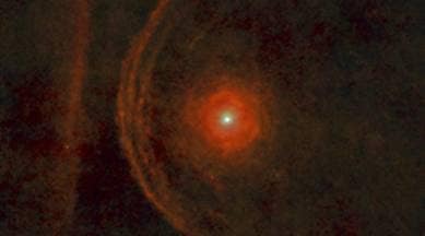 Betelguese, betelguese star colour, betelguese valentine day 2021, betelguese explosion, betelguese red rose, betelguese brightness dim, betelguese orion belt,