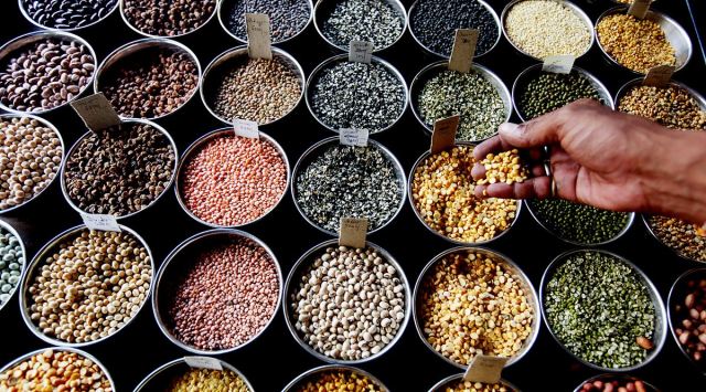 A buyer selecting vetches at a local market in Lucknow on Monday. (Express Photo by Vishal Srivastav)