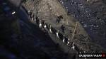 Uttarakhand Flash flood, Uttarakhand tragedy