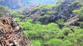 Mangar landscape, Aravallis faridabad, migrant birds in delhi, high diversity bird species, Mangar landscape bird species, delhi news, indian express news