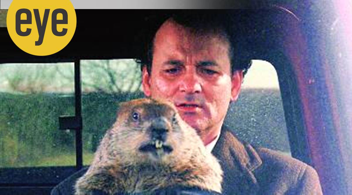 Groundhog Day is relatable viewing in a time of pandemics and lockdowns