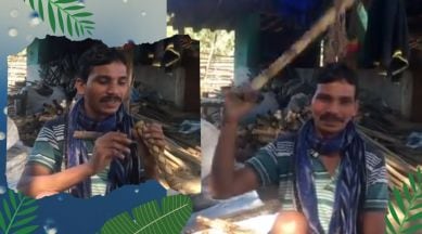 swinging flute emits music, Maniram Mandawi, Chhattisgarh, Chhattisgarh flute player, viral video, People's Archive of Rural India, pari. trending, indian express, indian express news,