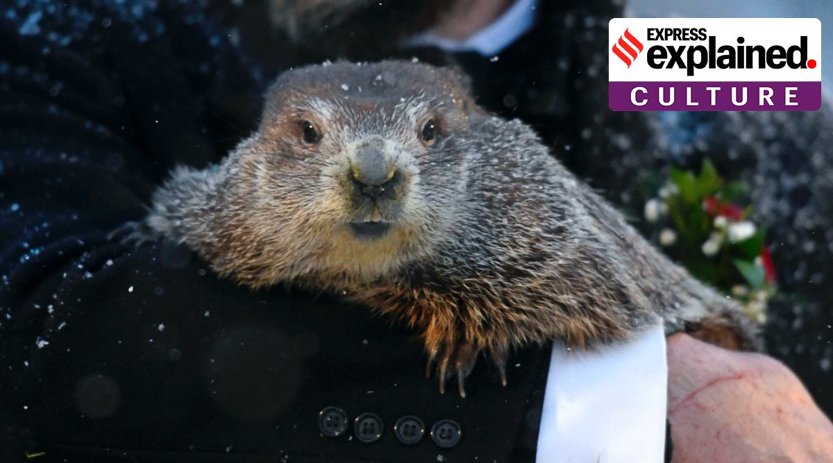 This year, the groundhog, called “Punxsutawney Phil”, has predicted a longer winter. (AP)