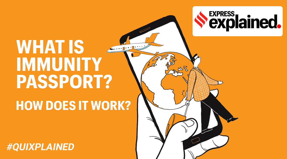 Denmark said it would launch a first version of a passport by the end of February, while Sweden expected to launch its digital document by summer, if an international standard can be agreed.