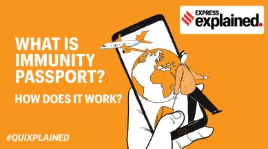 Denmark said it would launch a first version of a passport by the end of February, while Sweden expected to launch its digital document by summer, if an international standard can be agreed.