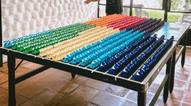 origami display, largest origami guinness book of world records, guinness book of world records, guinness news, origami news, origami records news, indianexpress.com, homeless dogs, indianexpress,