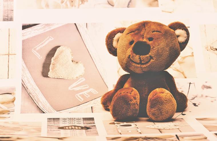 teddy day in valentine week