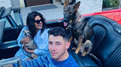 priyanka chopra, nick jonas