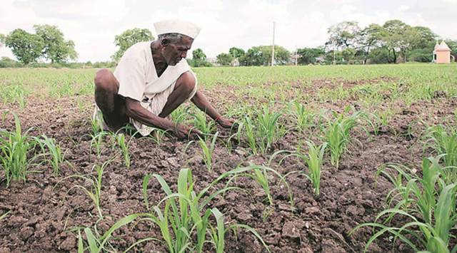 Mumbai: Agri minister moots proposal of zero interest for farmer crop loan up to Rs 3 lakh