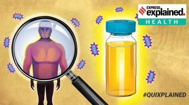 Coronavirus, Coronavirus vaccine, South African Covid variant, South Africa coronavirus strain, Indian Express