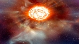 Betelgeuse, Valentine's Day