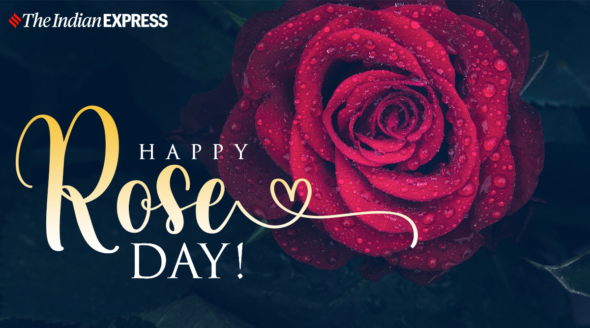 Happy Rose Day 2021: Wishes Images, Quotes, Status, HD Wallpapers, GIF Pics,  Greetings Card, Messages, Photos