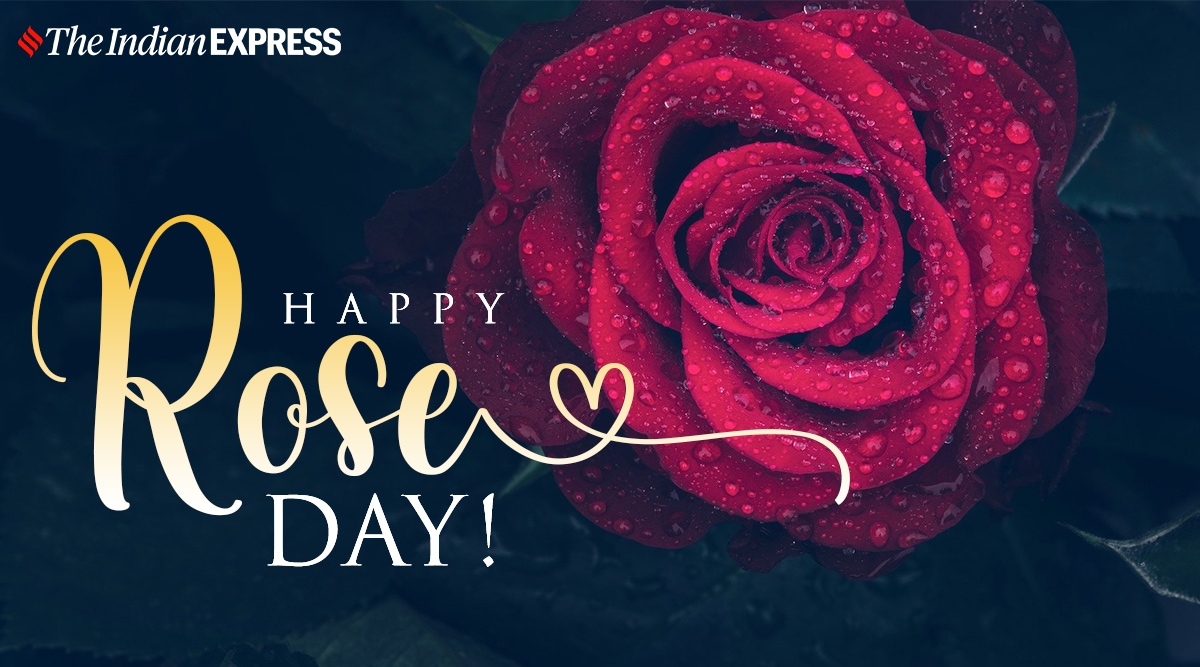 Happy Rose Day 2021: Wishes Images, Quotes, Status, HD Wallpapers, GIF  Pics, Greetings Card, Messages, Photos