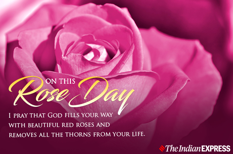 Happy Rose Day 2023: Wishes Images, Quotes, Status, HD Wallpapers, GIF Pics,  Greetings Card, Messages, Photos