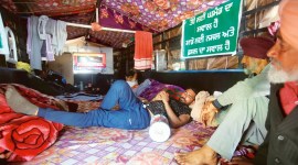 Rakesh Tikait, BKU leader, farmers protest, farm laws, Panchayats, Delhi news, Indian express news