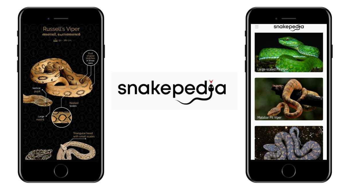 Many fascinating nuggets of information can be found in Snakepedia, an exhaustive mobile app dedicated to snakes in Kerala. 
