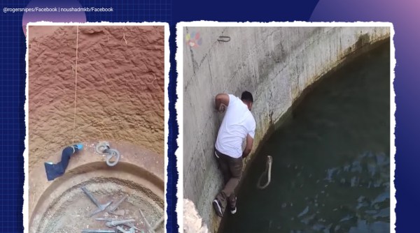 snake. snake viral video, snake rescue video, man jumps in well to rescue snake, viral video, Facebook reactions, trending, indian express news
