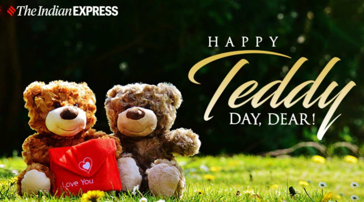 Teddy day best sale